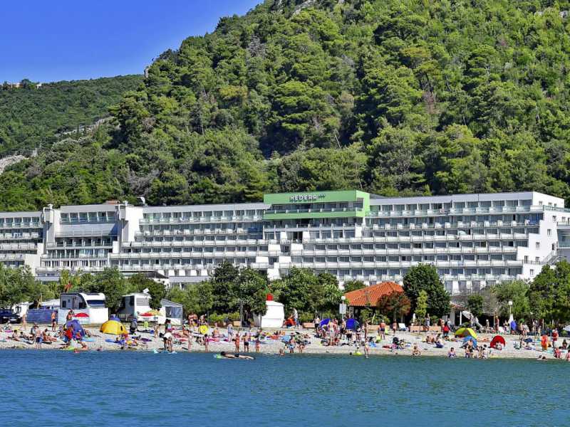 Hotel Hedera ****