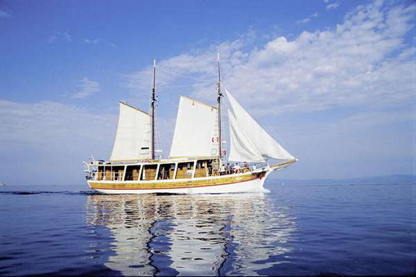 M/S ORION – route T7